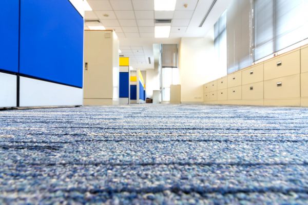 Business Carpet Cleaning in Norman