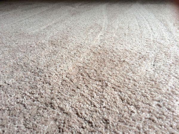 Plush Carpet Installation in Norman