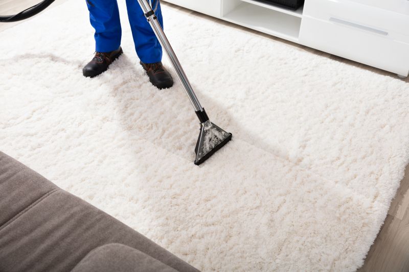 Carpet Deep Cleaning