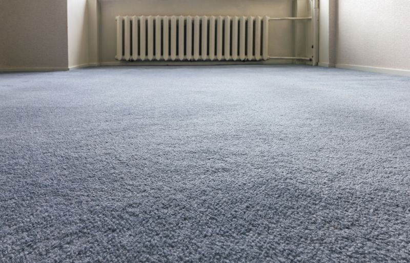 Professional Carpet Repair Services